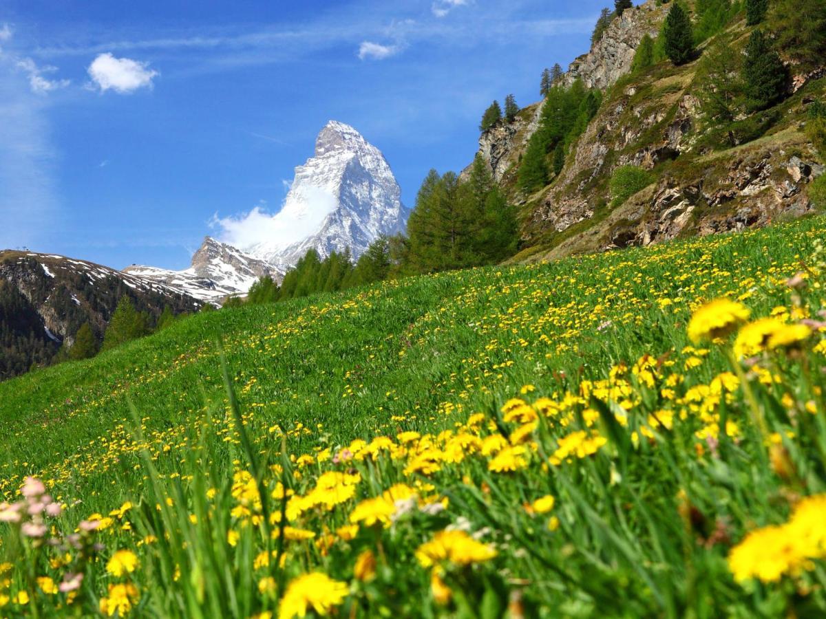 Apartment Dianthus-1 By Interhome Zermatt Exterior photo