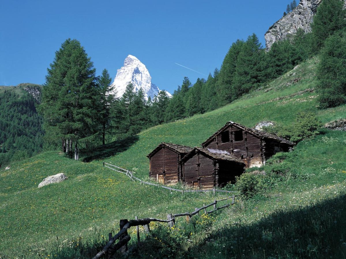 Apartment Dianthus-1 By Interhome Zermatt Exterior photo